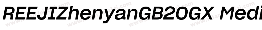 REEJIZhenyanGB20GX Medium字体转换